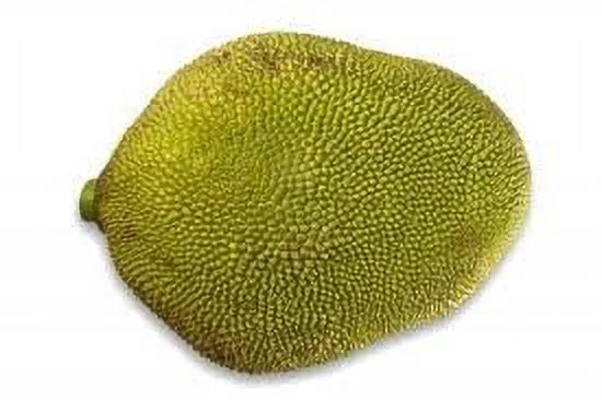 whole jackfruit (one fruit 15-18lbs)