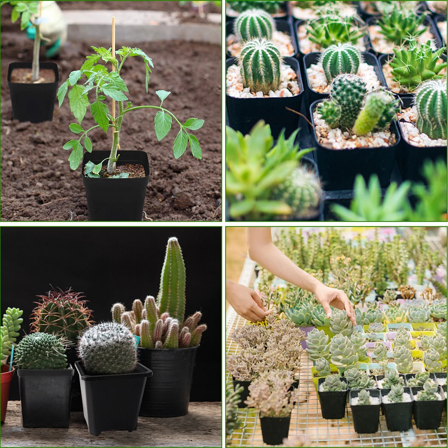 Black Square Plastic Seedling Pots Seed Pots Flower Pots Transplant Pot Home US