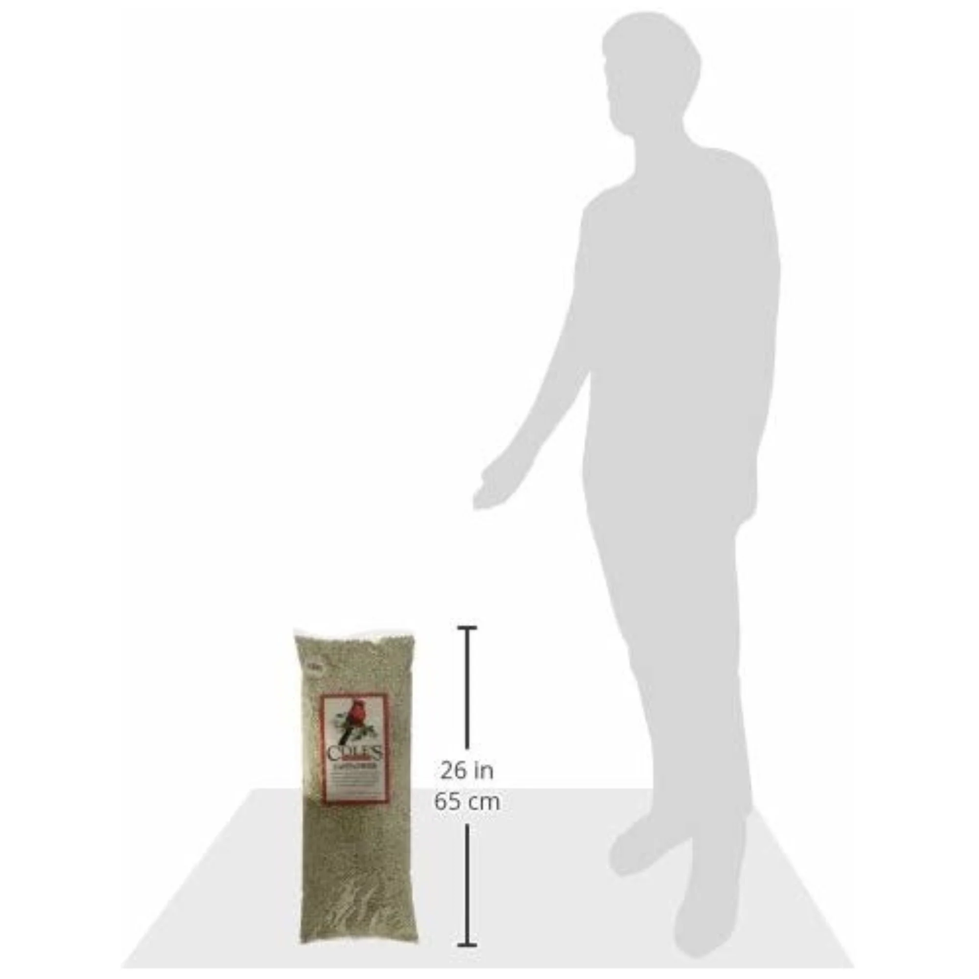 SAFFLOWER BIRD SEED 10# (Pack of 1)