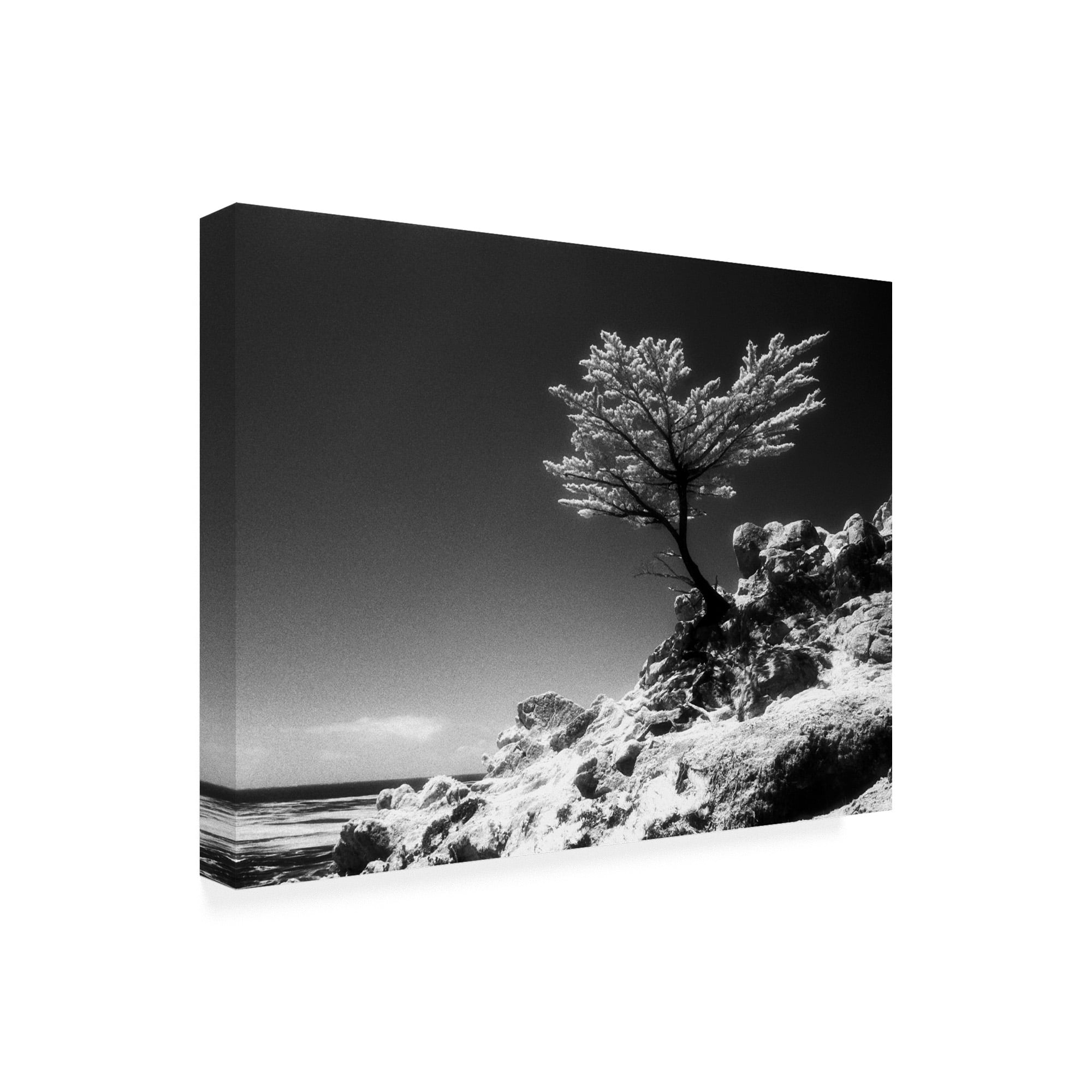 Trademark Fine Art 'Lone Cypress Monterey California' Canvas Art by Monte Nagler