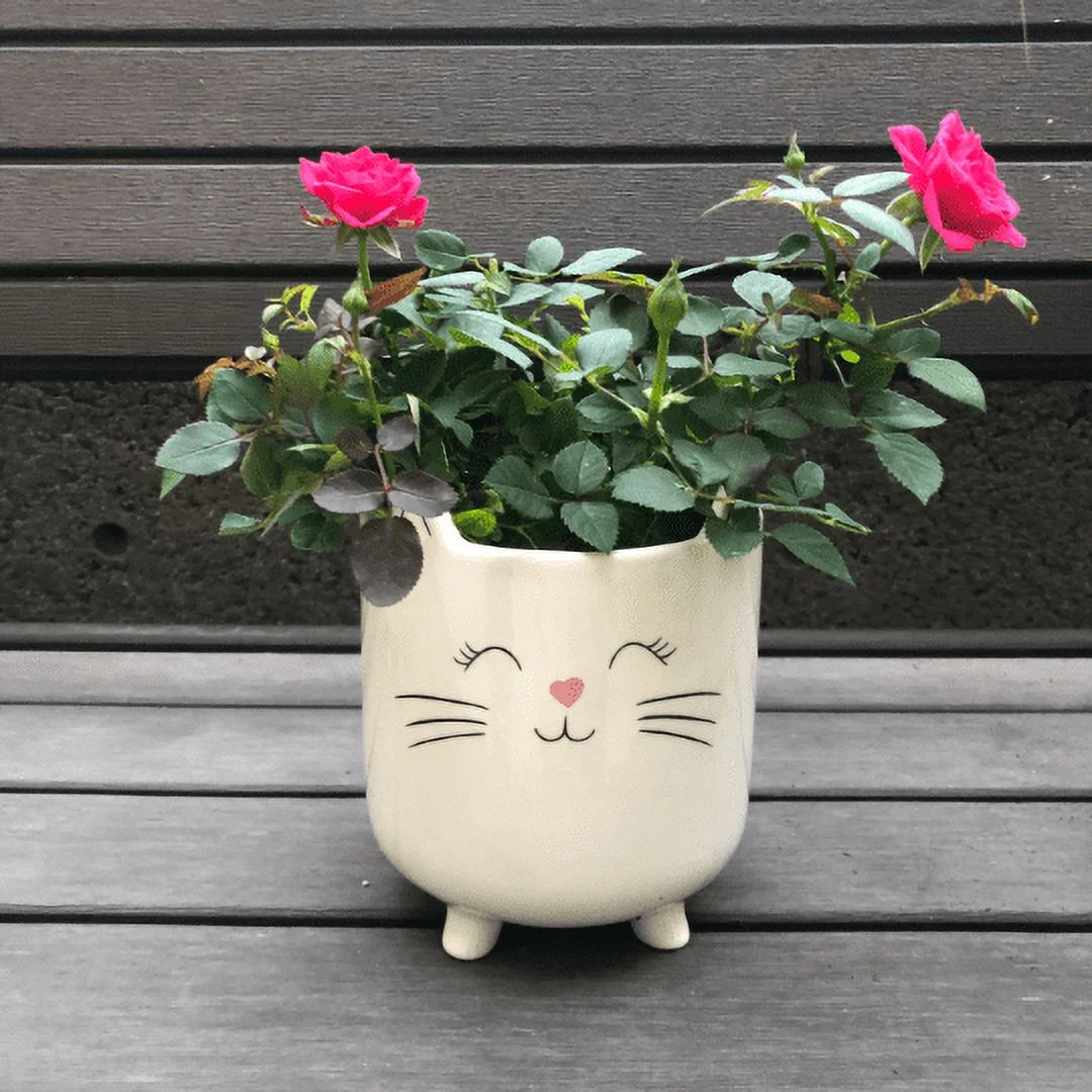 Cat Planter Pot for Succulents | White 6
