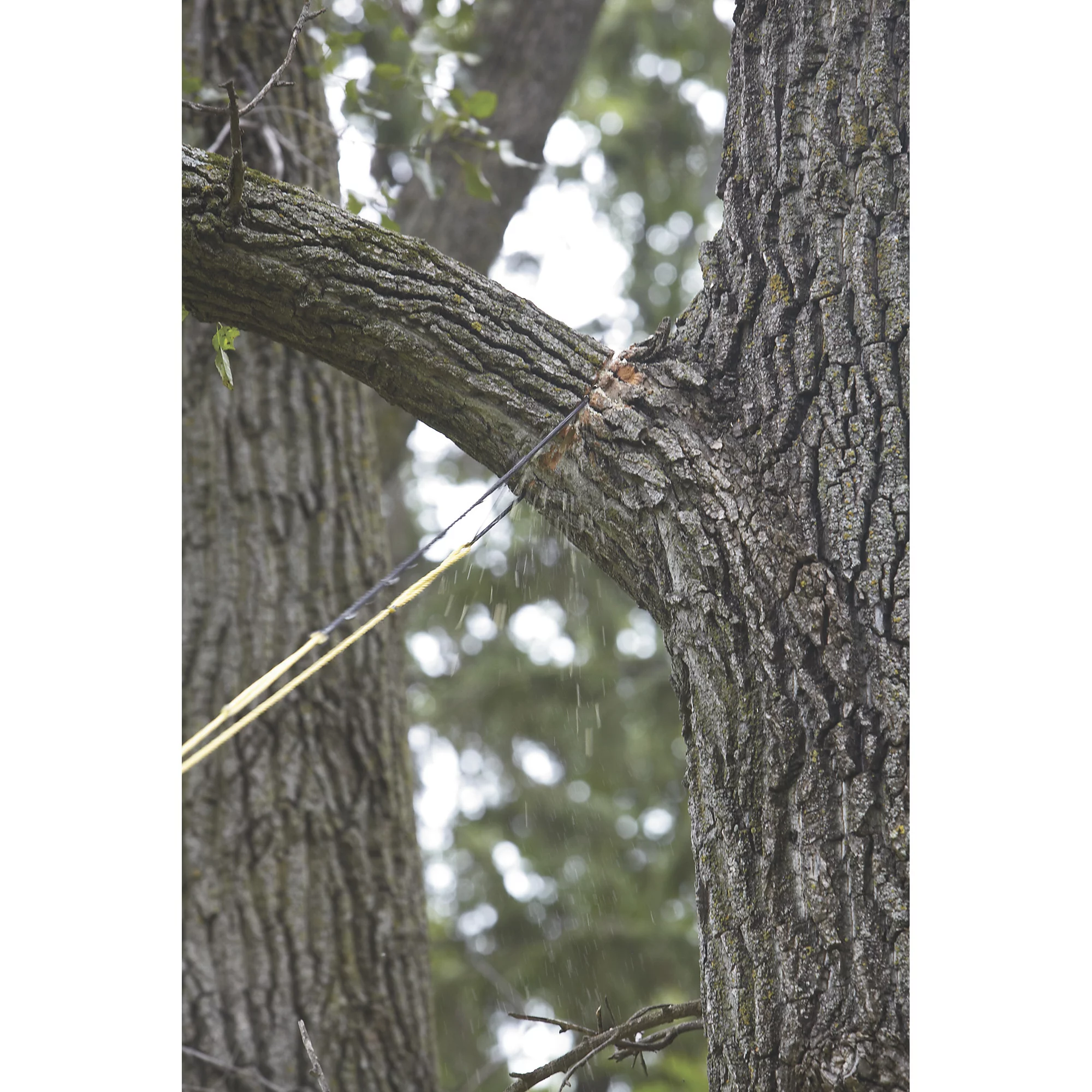 Professional High-Limb Rope Chainsaw - 48in Model# CS-48