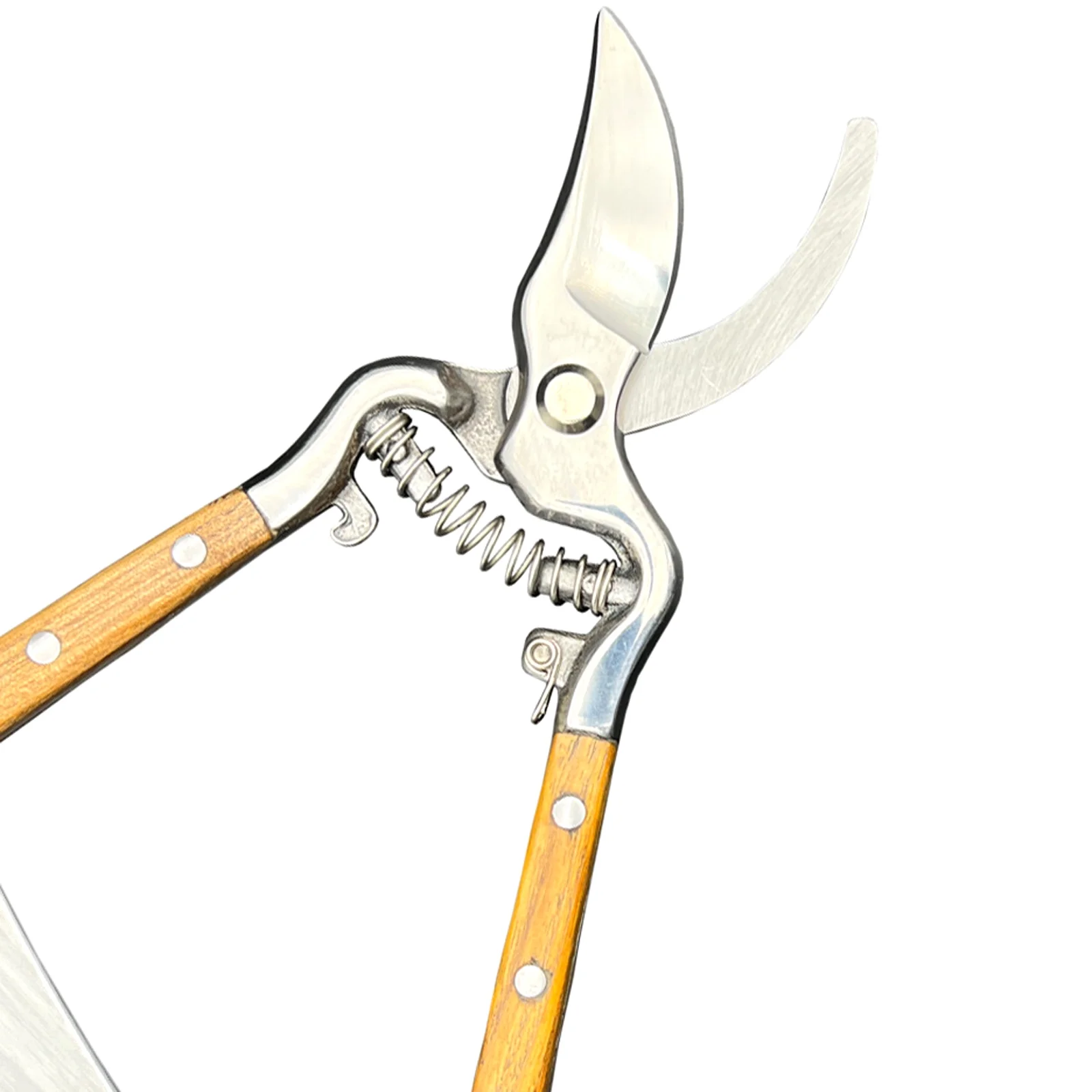 1pc Professional Premium Titanium Bypass Pruning Shears, Hand Pruners, Garden Clippers.