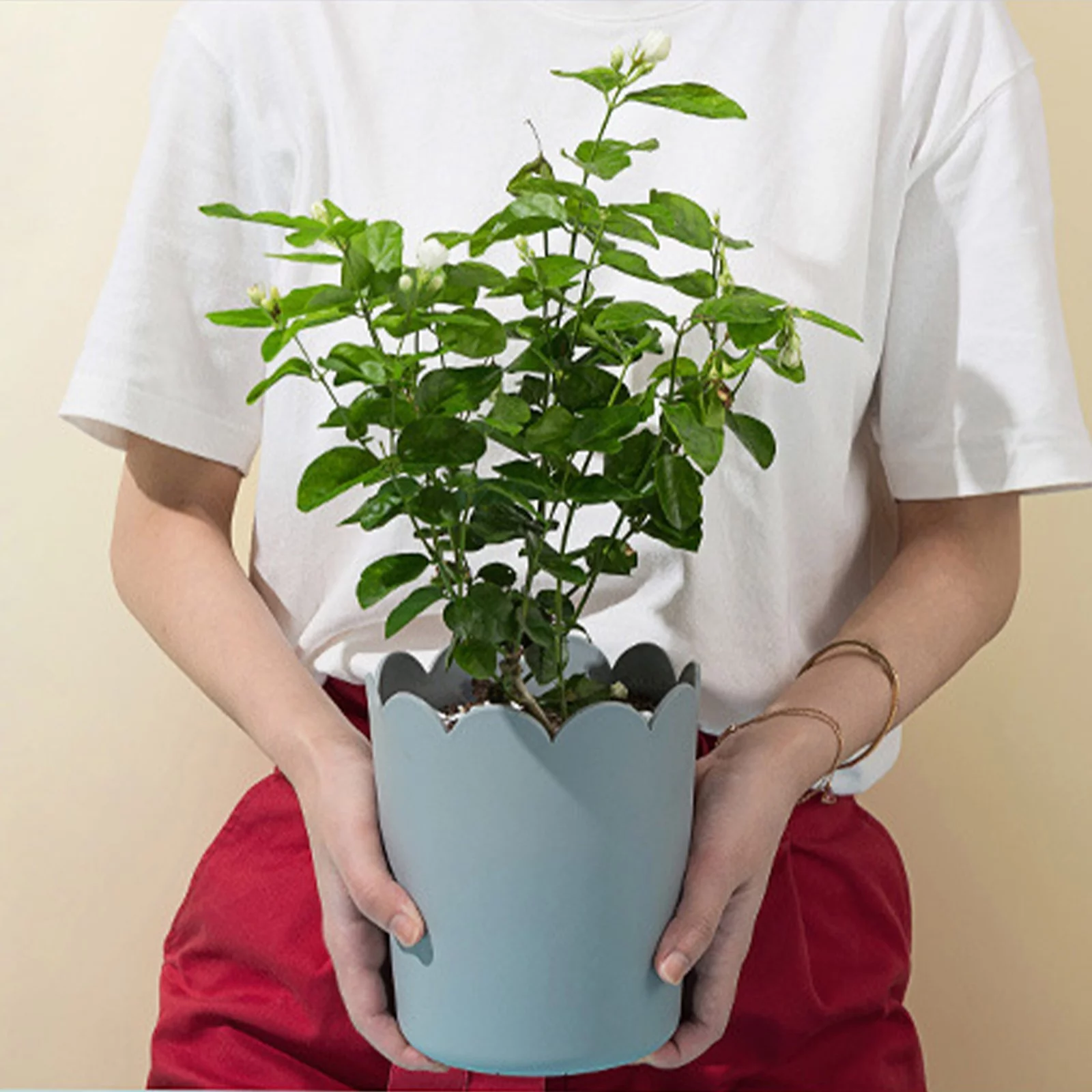 Pots For With Saucers Indoor Set Of 1 Planters Modern Flower Pot With Hole For All House Herbs Flowers And Seeding Nursery