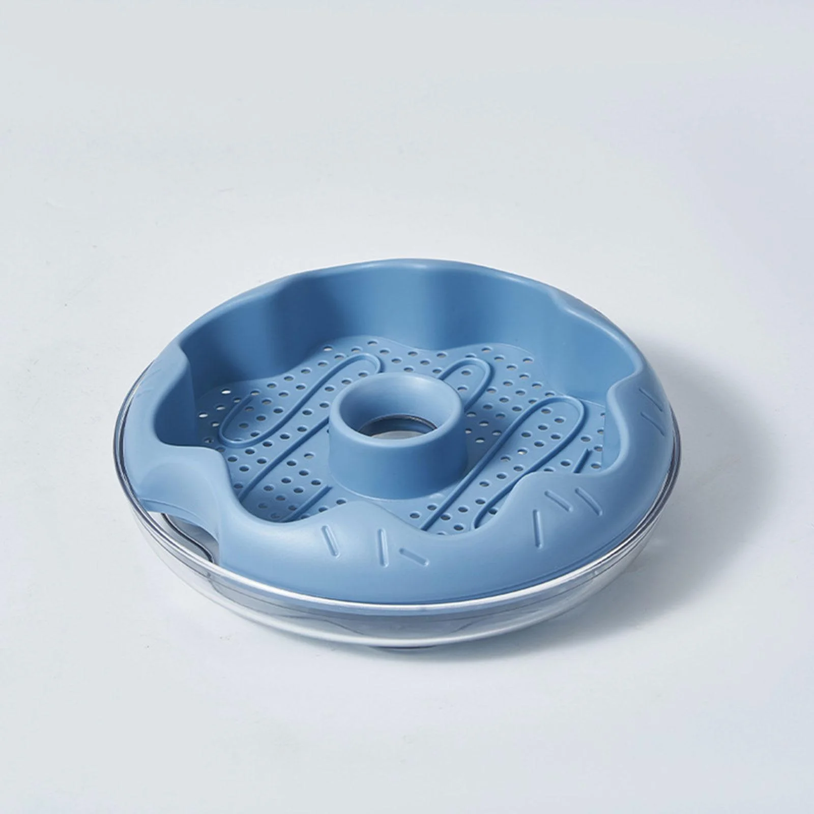 oshhnii Grass , Planting Tray, Germination Tray, Grass Sprouting Tray, Cat Snack Blue