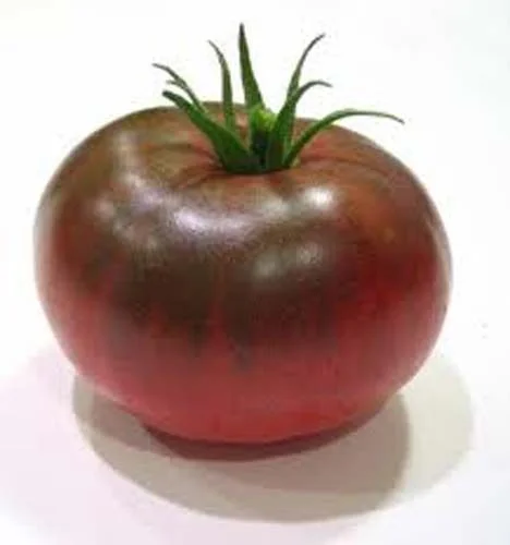 Tomato Black Prince Great Garden Heirloom Vegetable by Seed Kingdom 1/4 Lb Seeds