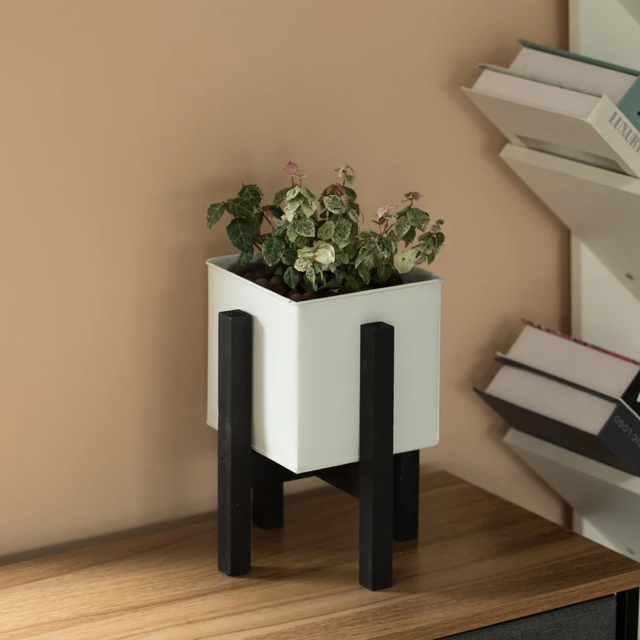 Indoor and Outdoor White Iron Planting Box with Black Wooden Frame