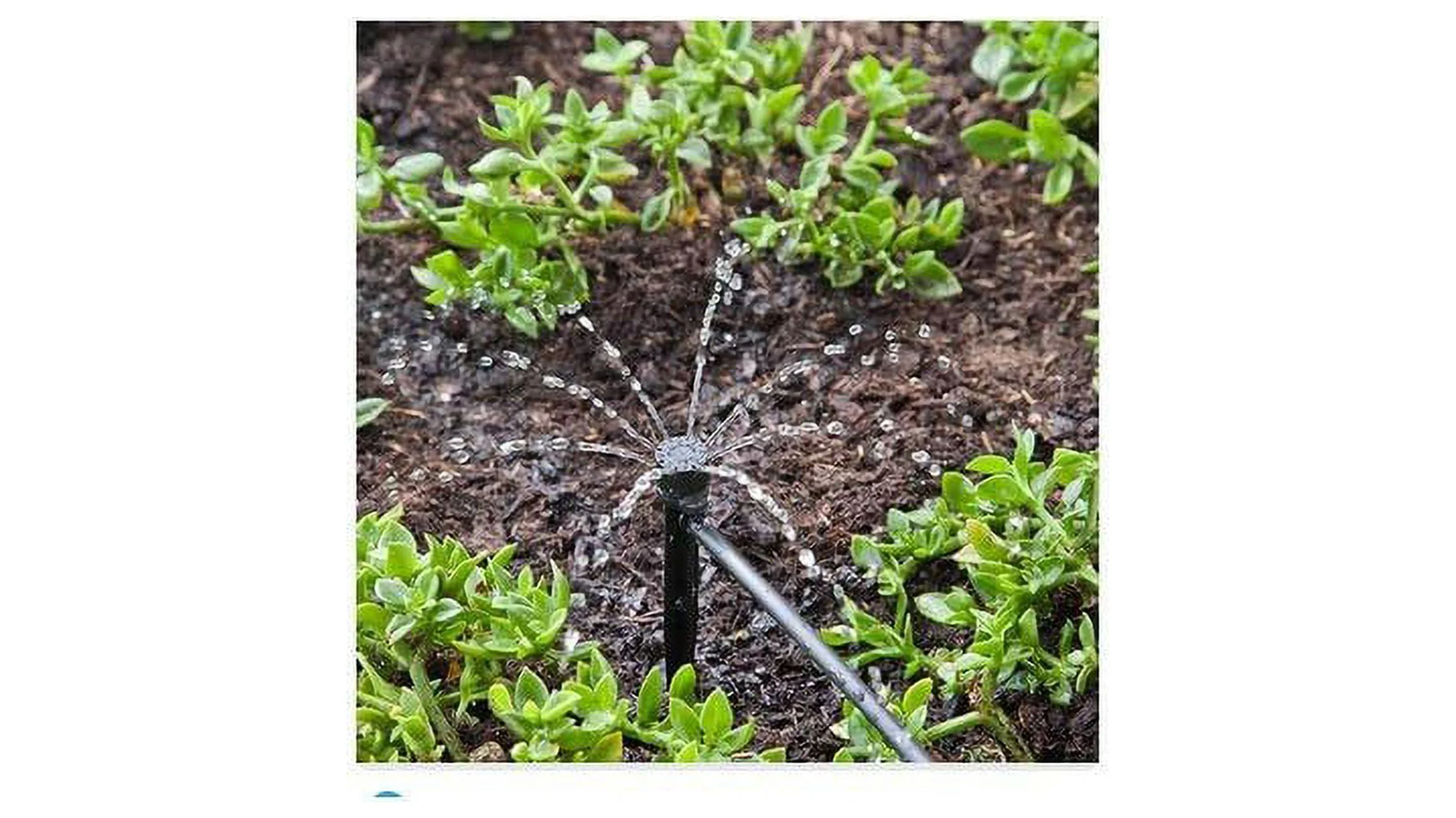 Raindrip 15600UB Full Circle Adjust Bubbler Stake-Stream Spray, Loose, 5-Inch