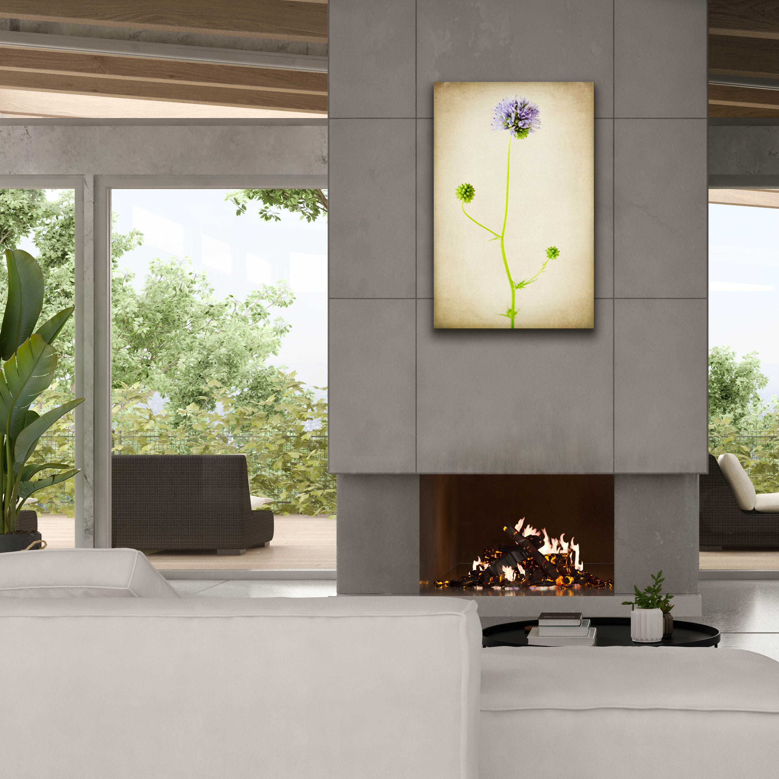 Epic Graffiti 'Globe Gilia' by Jessica Rogers, Canvas Wall Art, 26