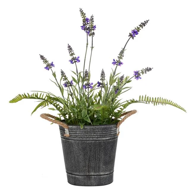 18 in. Green & Lavender Flower Fern in Iron Pot