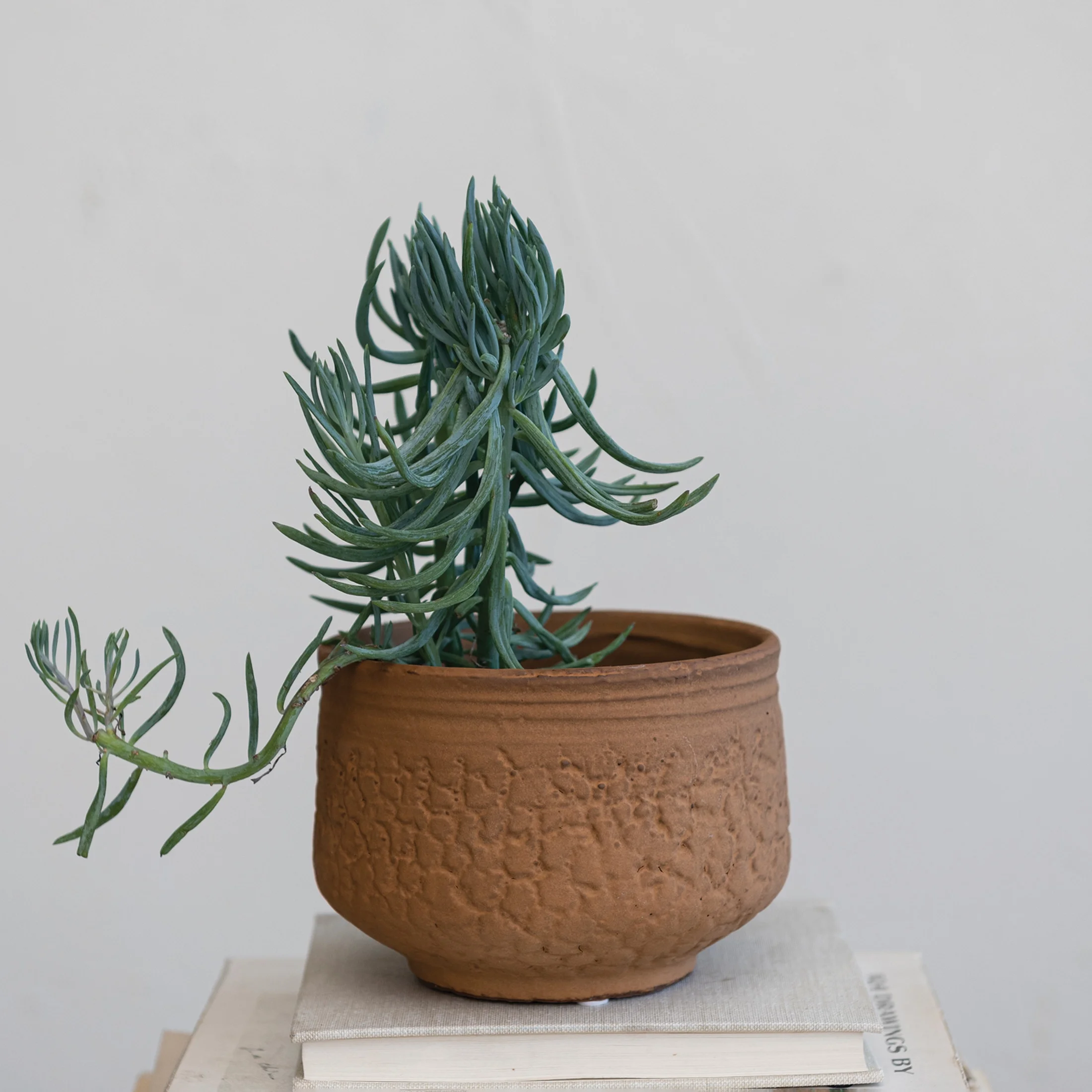 Creative Co-Op Boho Stoneware Planter with Embossed Pattern, Terracotta