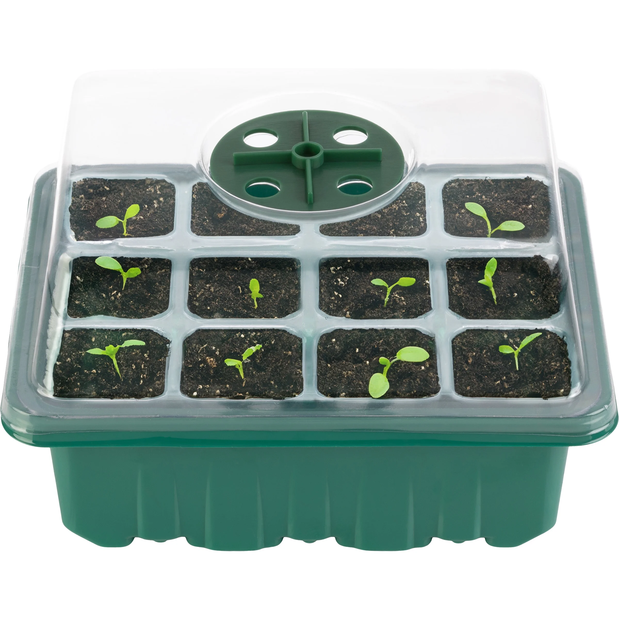 Home-Complete Seed Starter Tray 10-Pack - Plant Trays with Humidity Domes