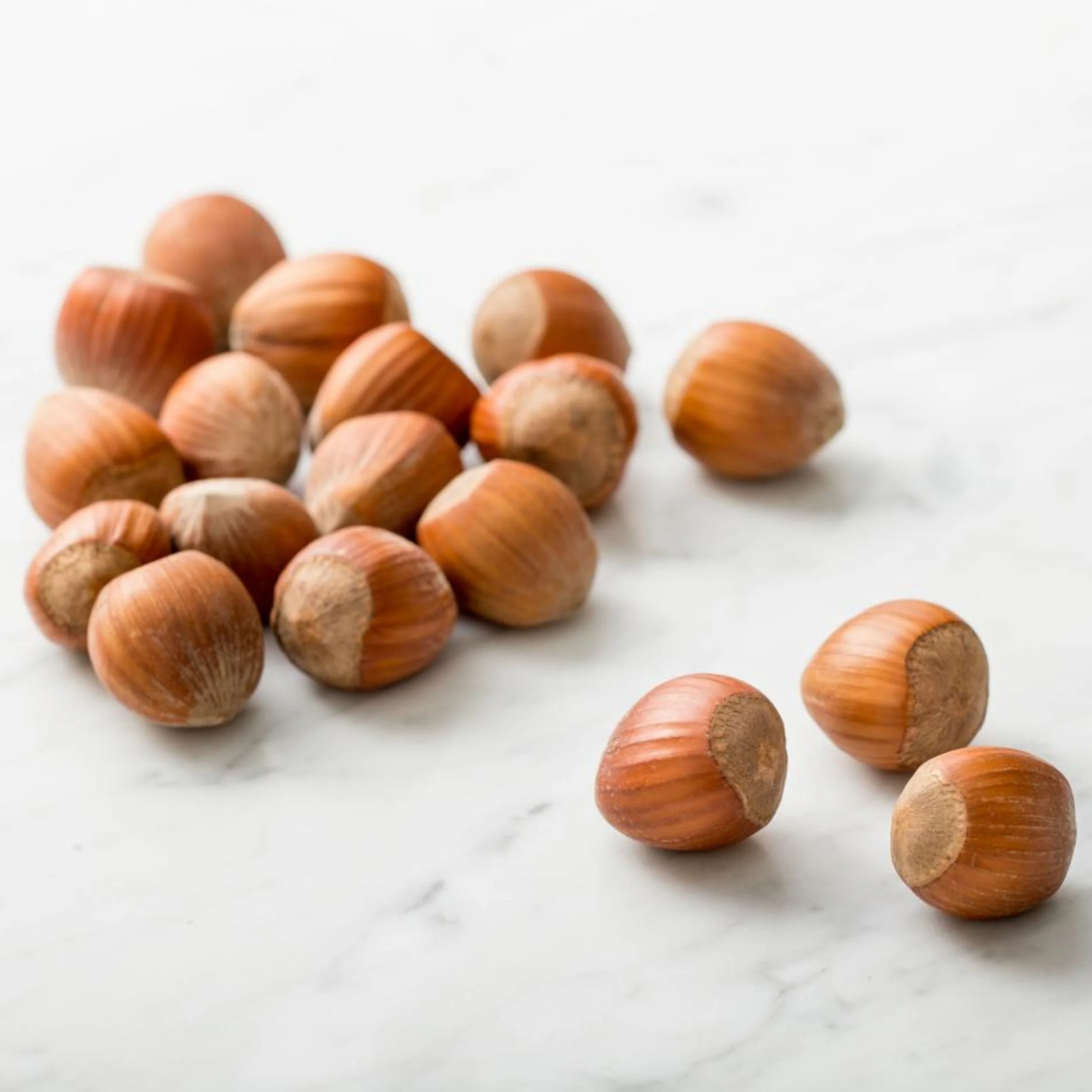 Bulk Hazelnuts With Skins 10 Pound Wholesale Box