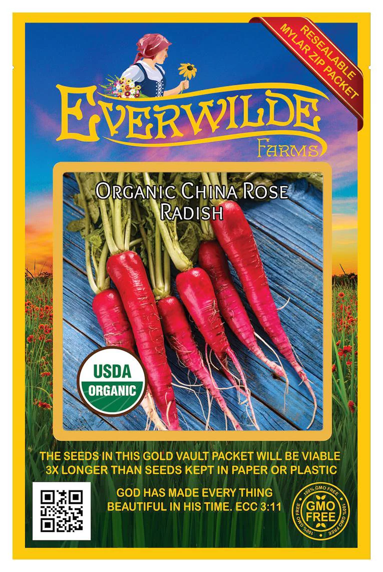 Everwilde Farms - 250 Organic China Rose Radish Seeds - Gold Vault Jumbo Bulk Seed Packet