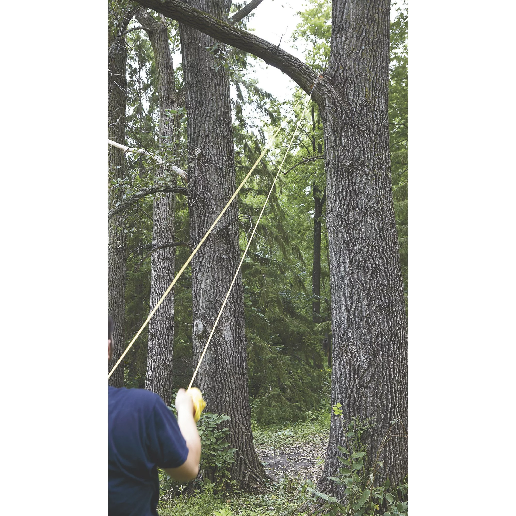 Professional High-Limb Rope Chainsaw - 48in Model# CS-48