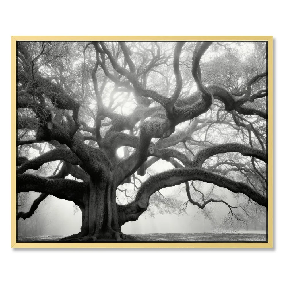 HOMICOZI  Angel Oak Tree Monochrome Charleston South Carolina Black White Nature Poster Canvas Pictures Print Wall Art for Living Room Bedroom Decor