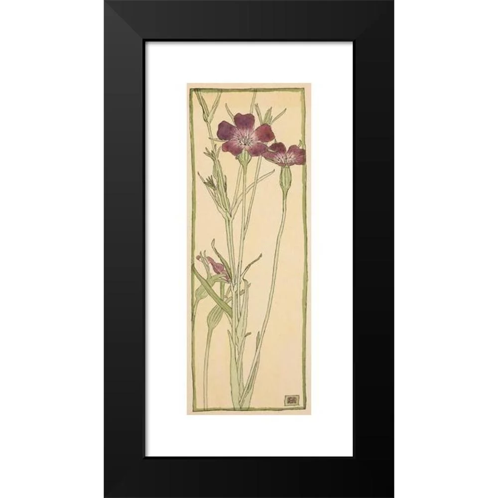 Hannah Borger Overbeck 8x14 Black Modern Framed Museum Art Print Titled - Corn Cockle (circa 1915)