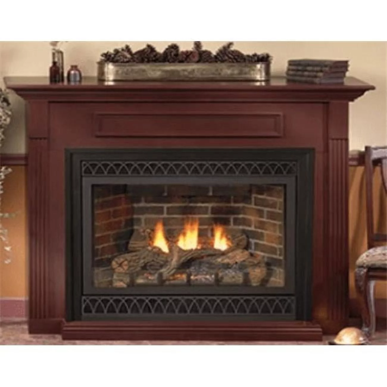 Liquid Propane Tahoe Direct Vent Fireplace with Blower