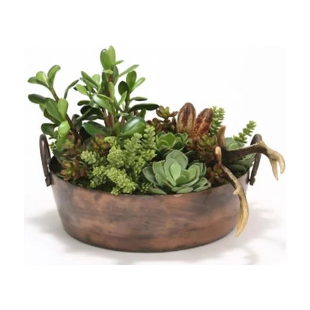 Succulent Mix in Round Copper Planter