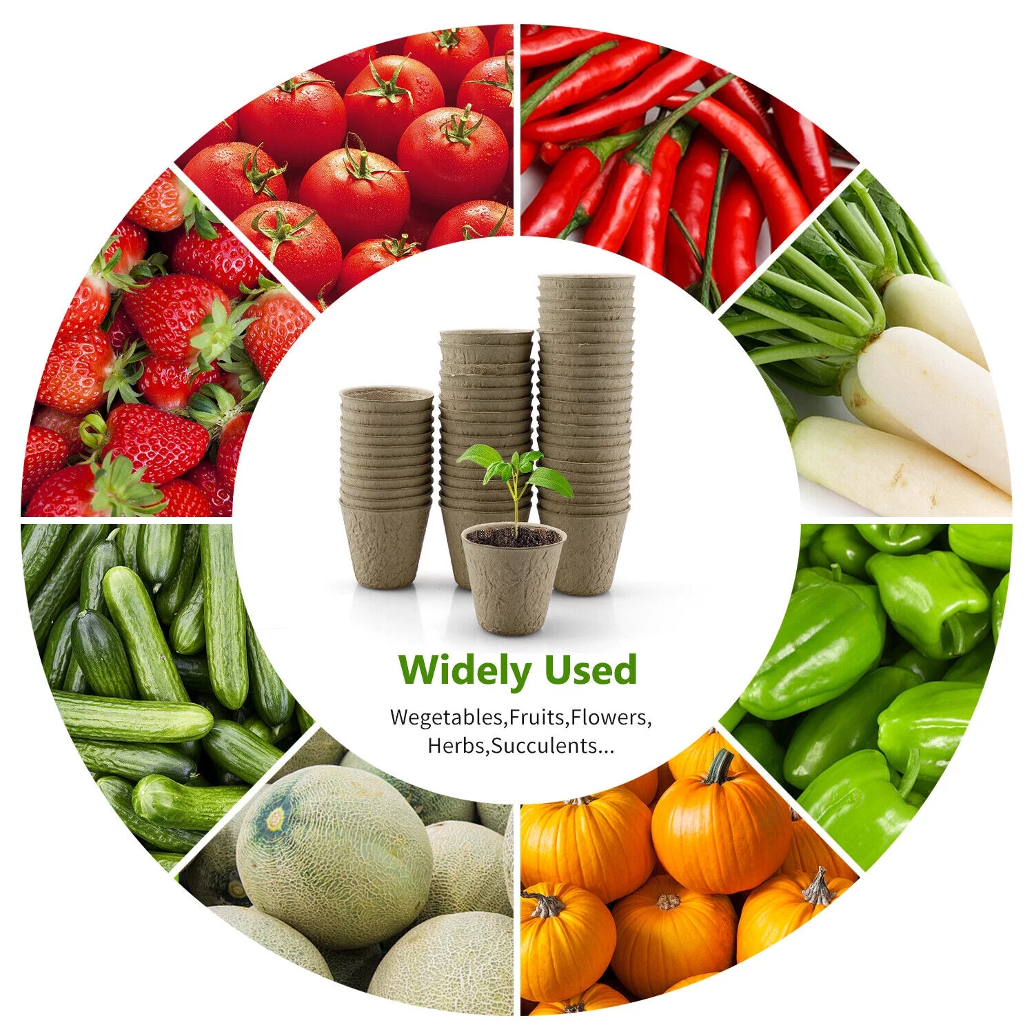 50-100PCS Biodegradable Nursery Pots Garden Plant Grow Seedling Planting Pots US