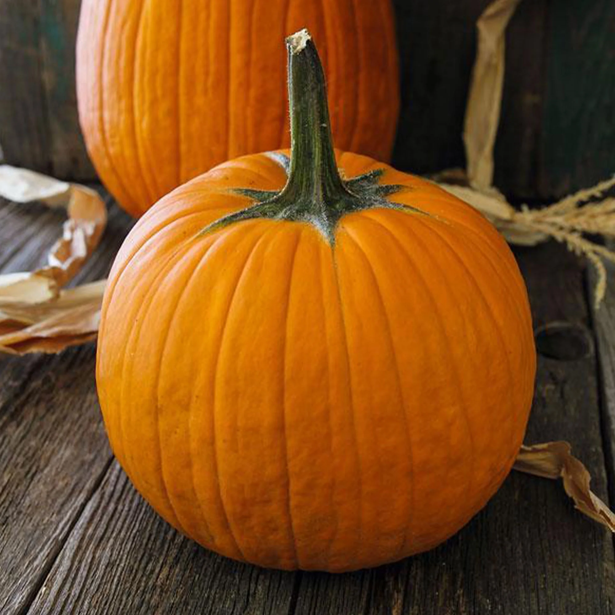 Organic Howden Pumpkin - 4 g ~30 Seeds - Non-GMO, Open Pollinated, Heirloom, Vegetable Gardening Seeds
