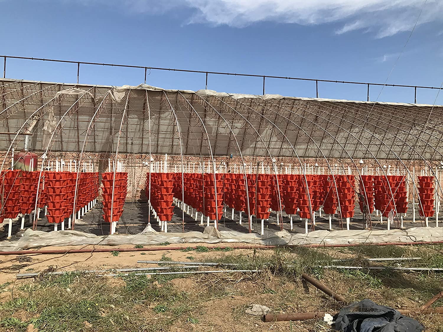 Strawberry and Herb Garden Planters 5@13x13x5.2 inch - 24 quart Stackable Gardening Pots with 10 Inch Saucer (Terra-Cotta)