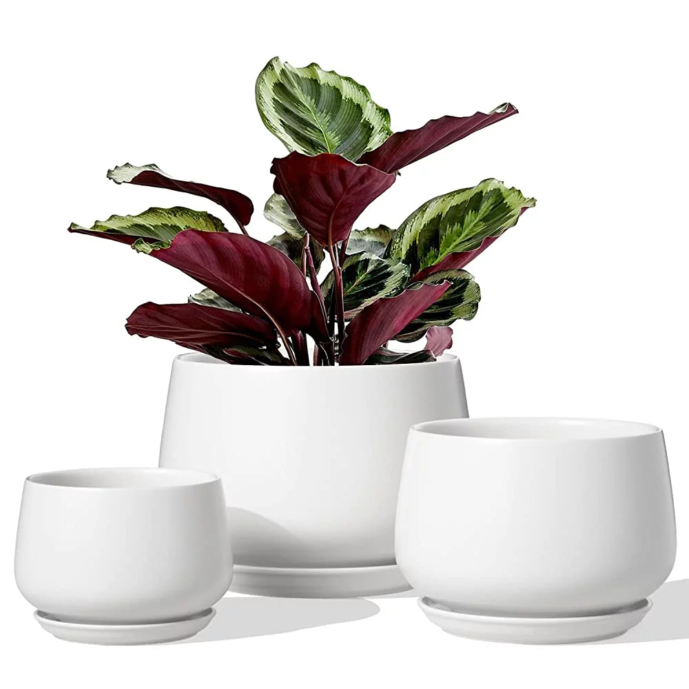 LE TAUCI 4.1+5.1+6.5 Inch Ceramic Plant Pots with Drainage Hole and Saucer, Set of 3, White