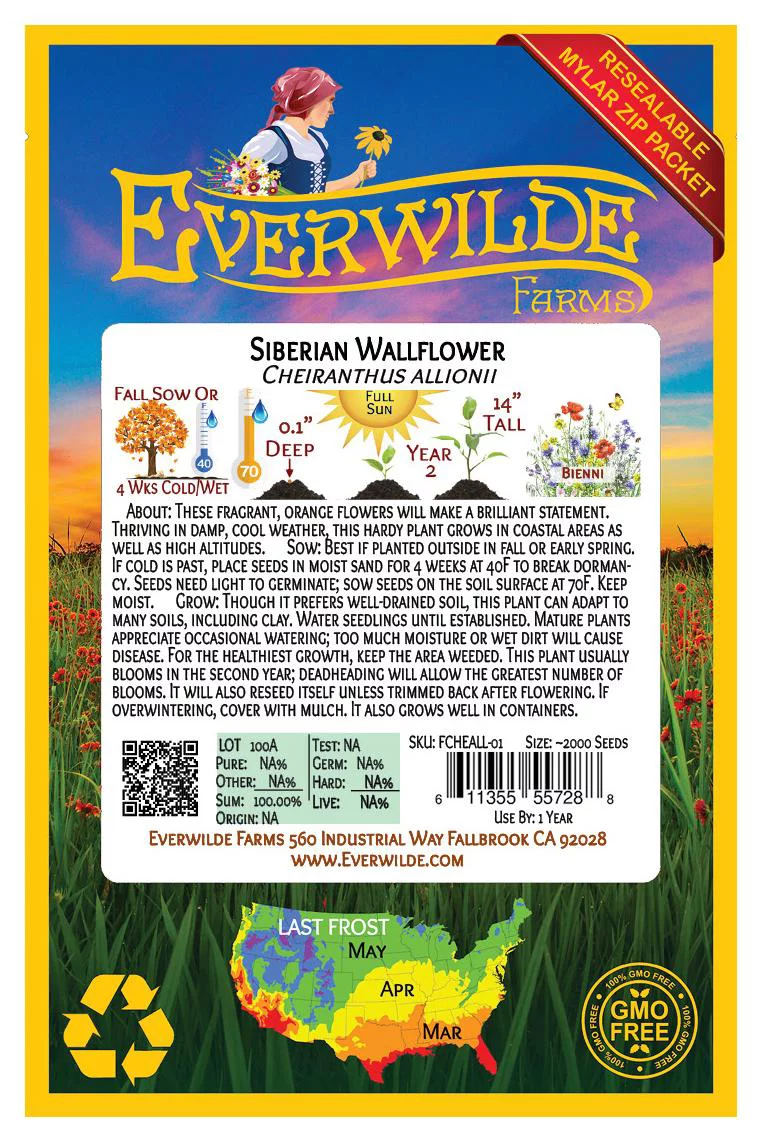 Everwilde Farms - 2000 Siberian Wallflower Garden Flower Seeds - Gold Vault Jumbo Bulk Seed Packet
