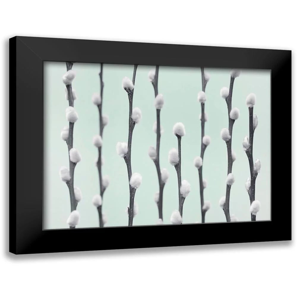 Frank, Assaf 14x12 Black Modern Framed Museum Art Print Titled - Pussy Willow twigs