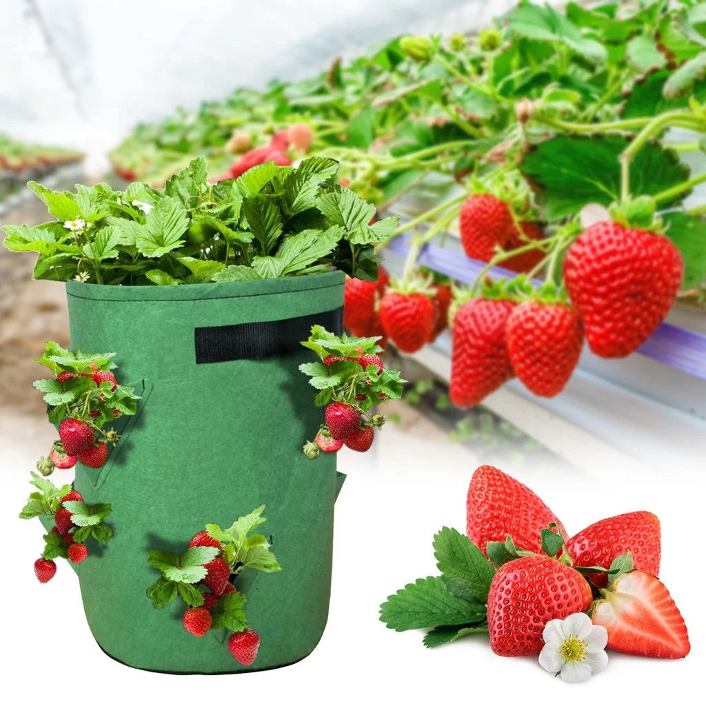 Exywaves Patio Lawn Garden Farmhouse Decor Strawberry Planting FeltCloth Planting Container Bag Thicken Pot