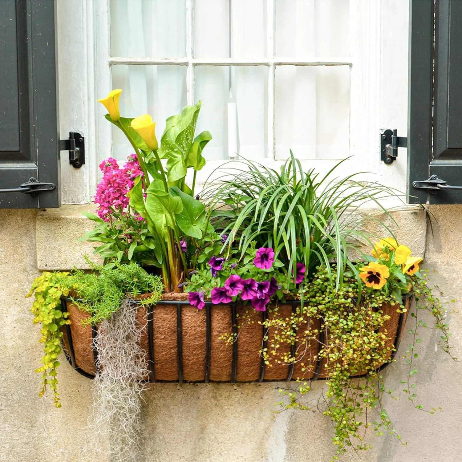 Coco Liner Roll 80x12 Inch, Natural Coconut Liners for Planters, Thick Coco Fiber Mat for Hanging Basket, Animal Mats and More, Easy to Cut