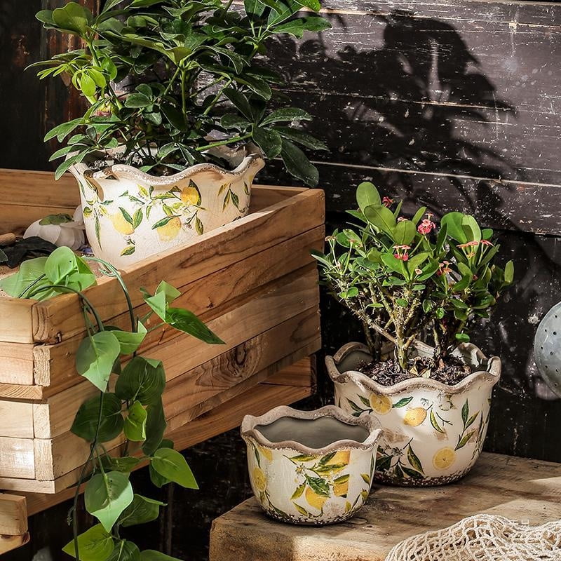 Lemon Flower -Type Creative European Retro Decoration Multi -Meat Pot Ceramic Outdoor Courtyard Home Living Room Home Use Antique Lemon Wave Mouth Flowerpot Medium Drain Hole-Ceramic