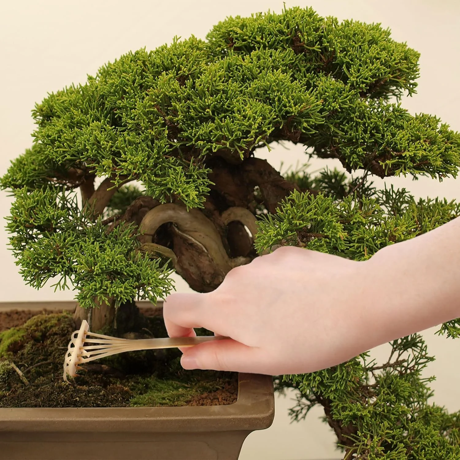 bonsai tree pruning trimming starter tool kit - leaf trimmers, and bamboo rake - 1 set