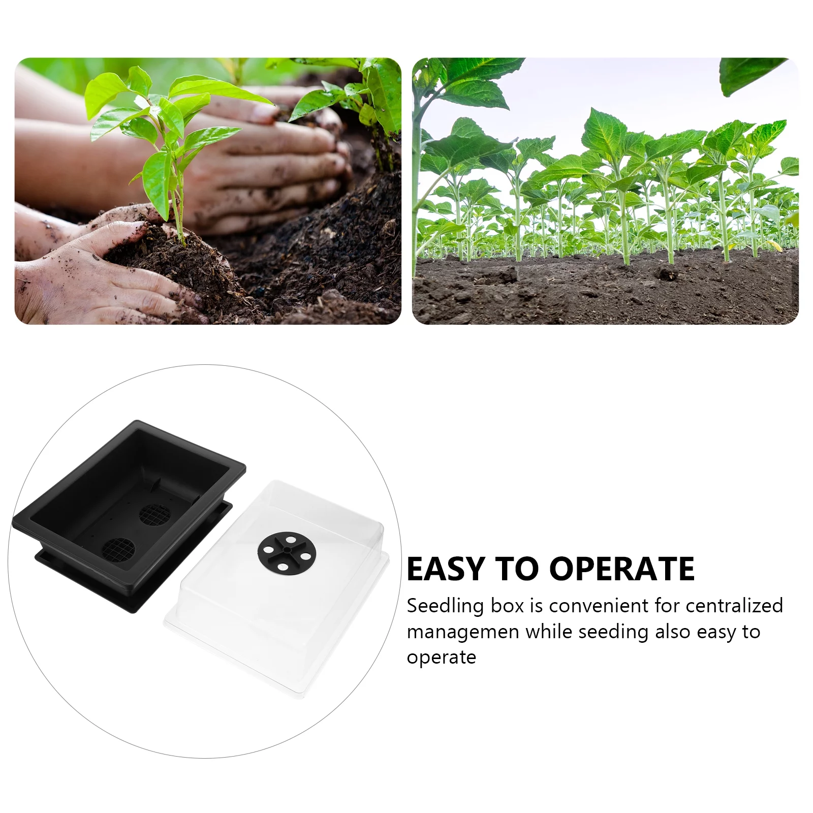 Gongxipen 2 Sets Practical Plant Tray Nursery Pots Imitation Purple Clay Basin