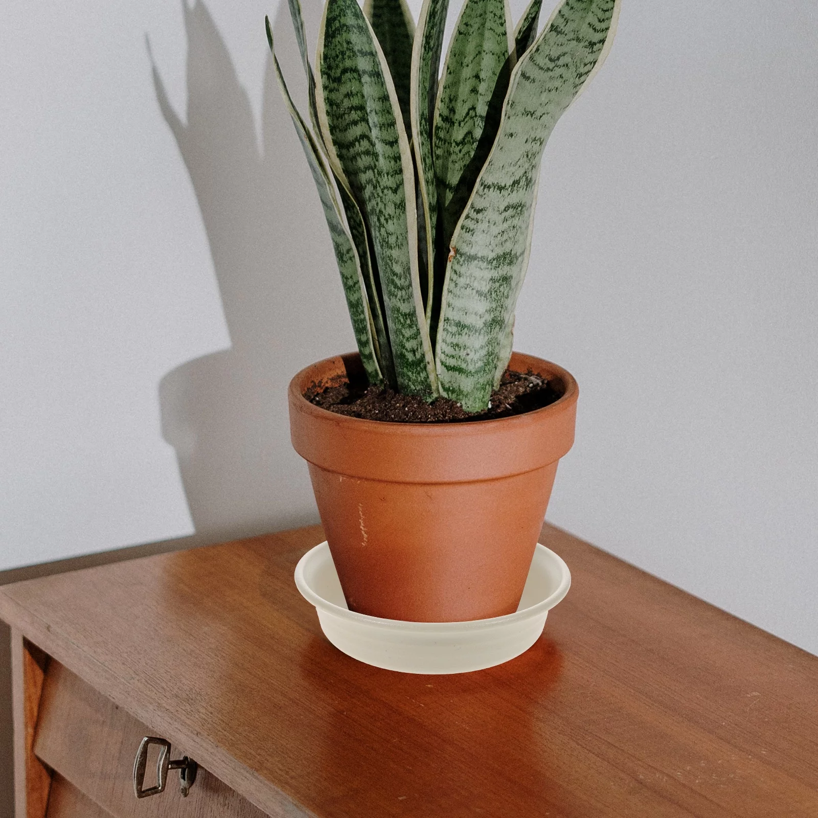 Gongxipen 2pcs Round Plant Saucer Tray Plastic Flower Pot Saucer Pallet Round Flower Pot Base