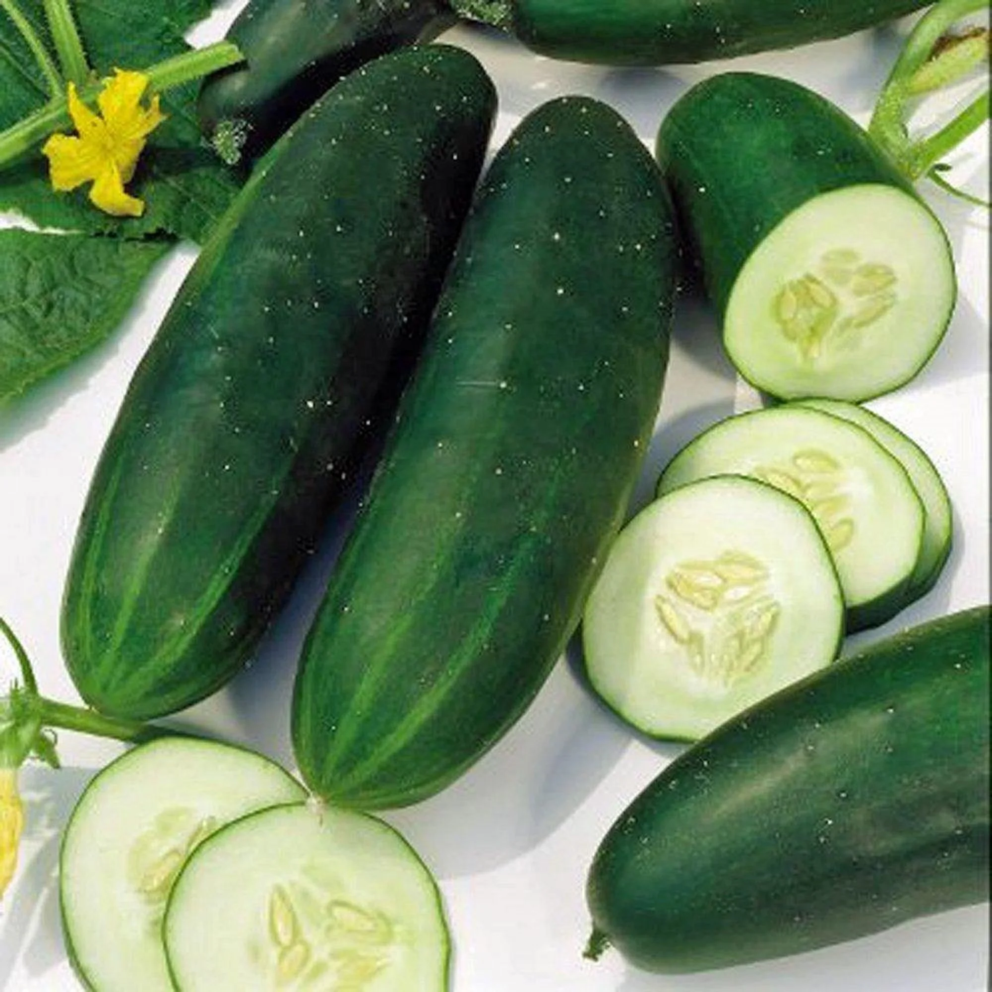 Straight Eight Cucumber Seeds - 100 Count Seed Pack - Prized for its Flavor, and Even, deep Green Color - Country Creek LLC
