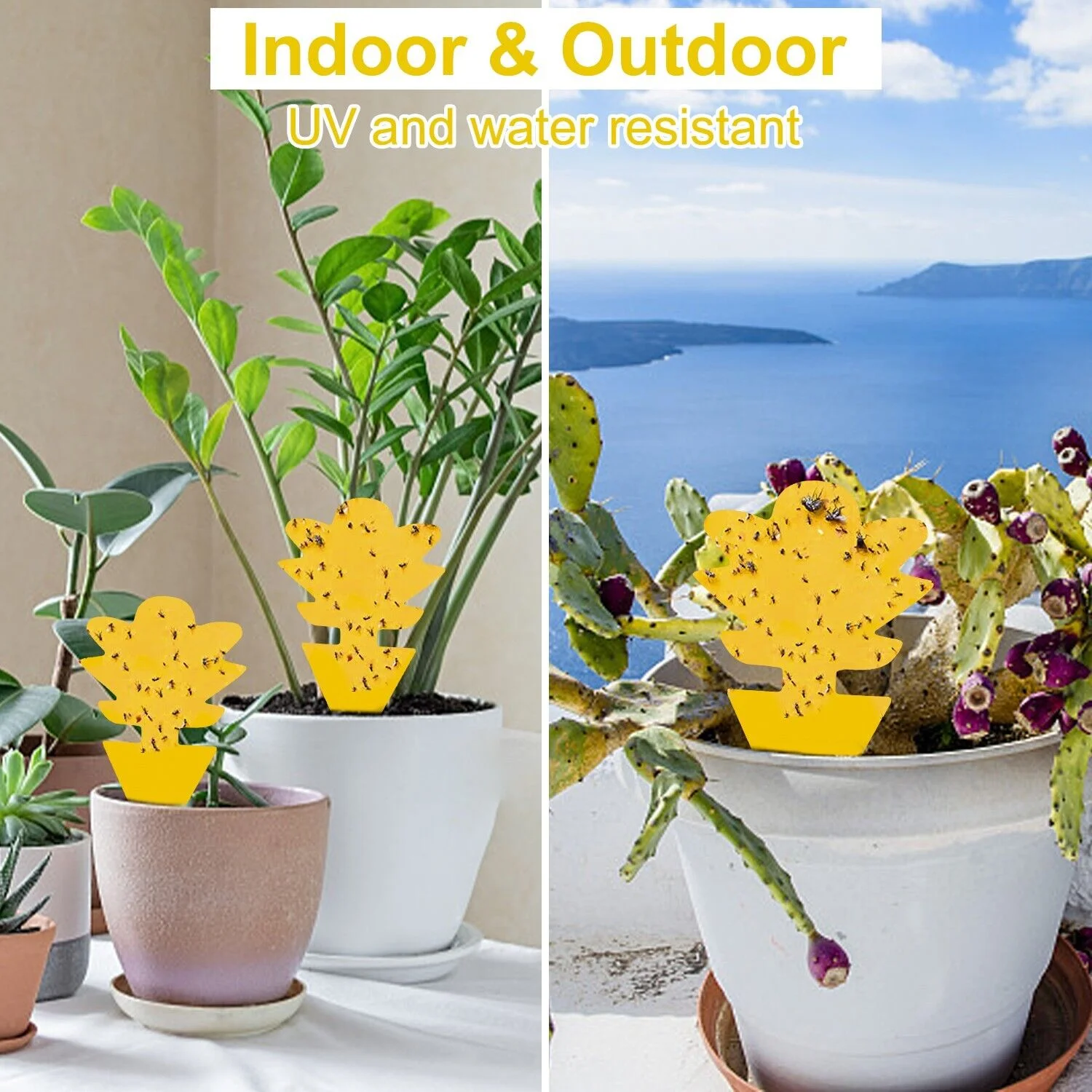 100x Garden Nursery Plastic Pots Flower Plant Container Seed With Label＆Fly Trap