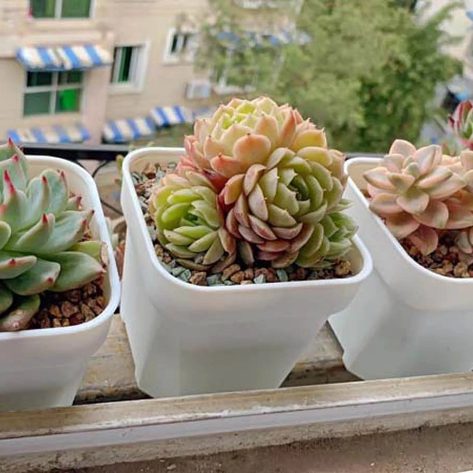 Flower Pot Stand Succulent Thickened Pot Sowing Seedling Basin Resin Square Basin