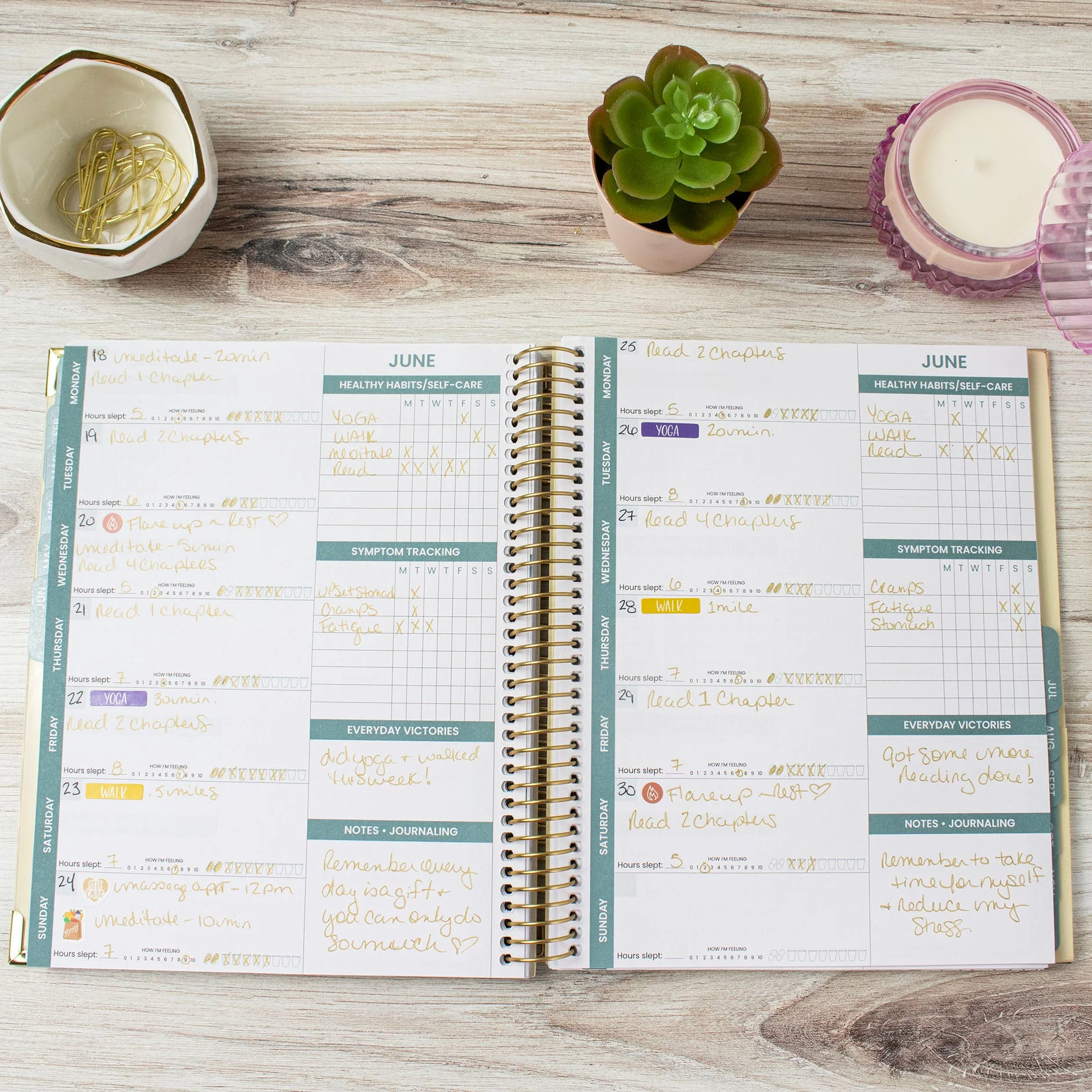 bloom daily planners Chronic Illness Planner, You Are Stronger Than You Think