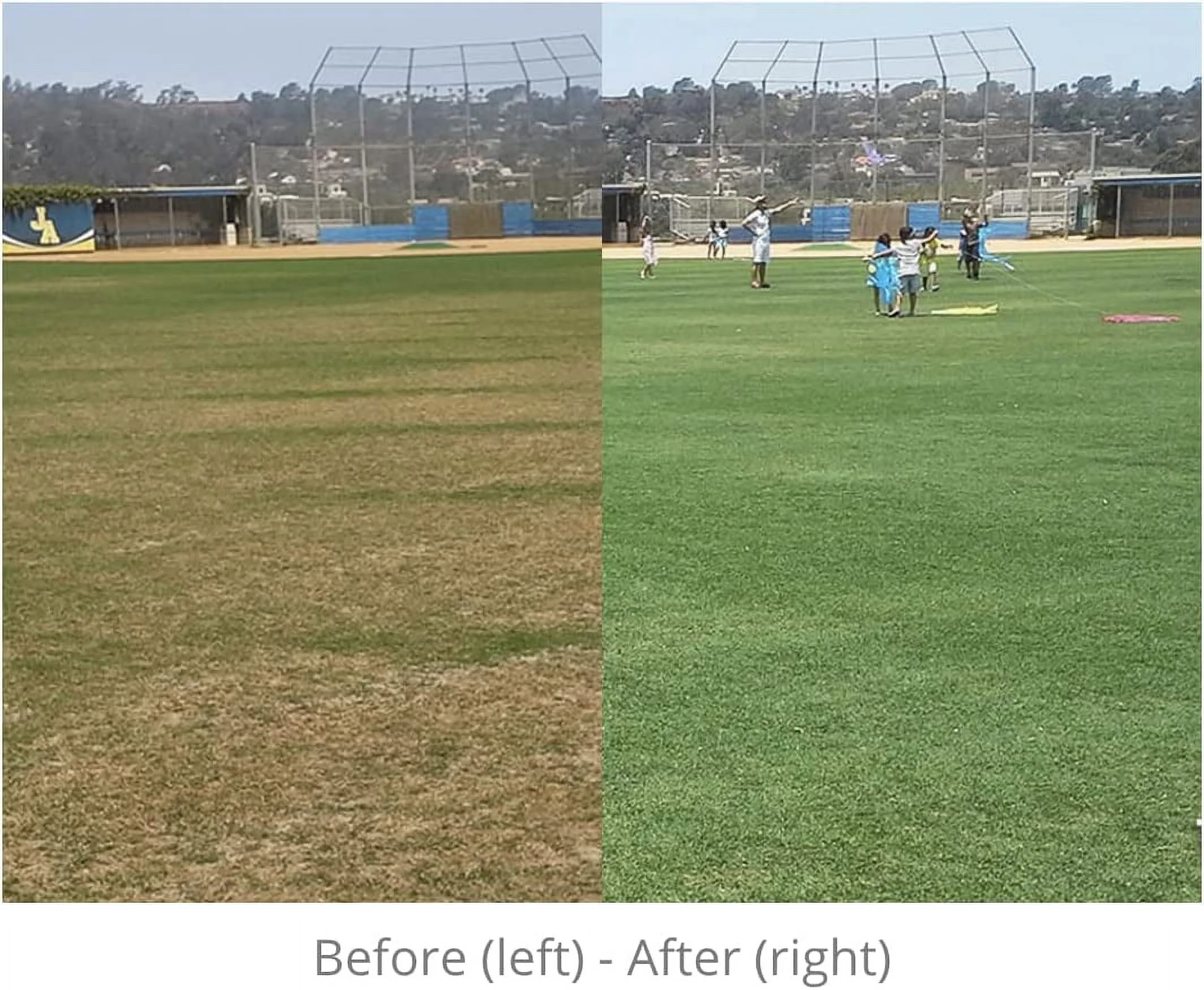 Hydretain Root Zone Moisture Manager 2 Quarts with HoseEnd Sprayer