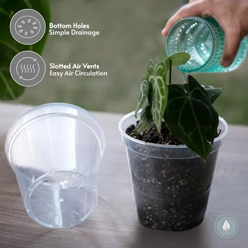 karenplantsplants™ 9