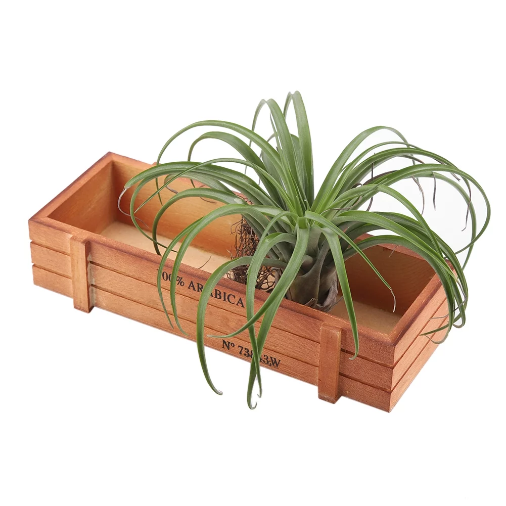 ZPSHYD Rectangle Succulent Box Vintage Wood Flower Planter Succulent Pot Box, Desktop Rectangle Storage Tray