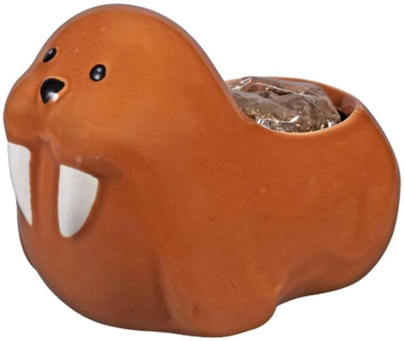Winston The Walrus Ceramic Animal Planter Grow Kit, Includes Soil and Seeds, Brown, Boxed Gift