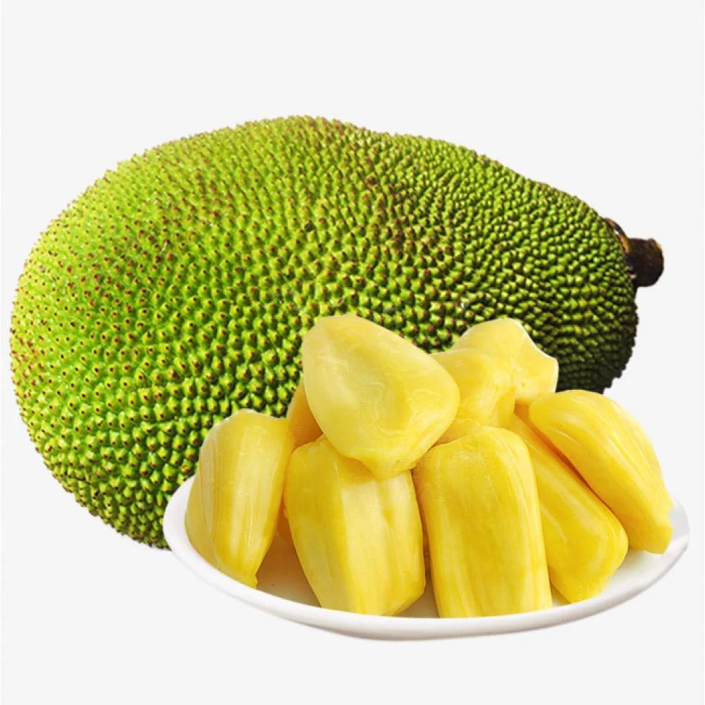 Whole Jackfruit (One Fruit 5-7 Lbs) ( Whole Jackfruit (One Fruit 12-15 Lbs))