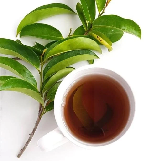 Whole Dried Graviola Soursop Leaves (4 oz 113g+ Leaves Per Bag) Hoja De Guanabana, 100% All Natural Delicious Fresh Tea | From Mexico | Premium Wildcrafted Quality. TEA