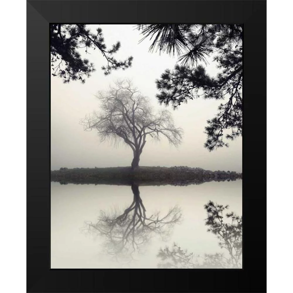 Bell, Nicholas 12x14 Black Modern Framed Museum Art Print Titled - Winter Willow