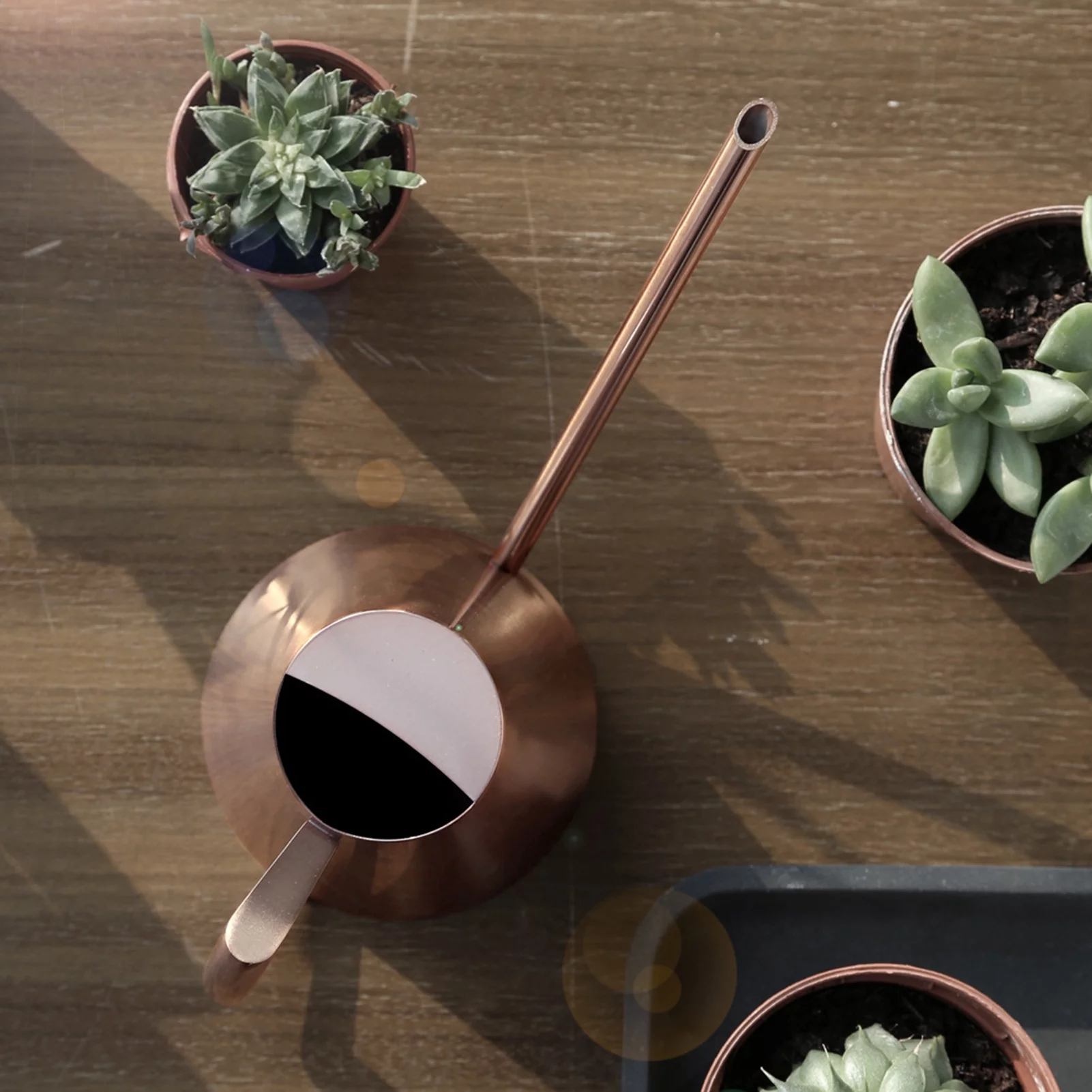 Watering Can, Bronze Stainless Steel Watering Pot with Long Spout Household Garden Plant Flower Long Mouth Sprinkling Pot(M)