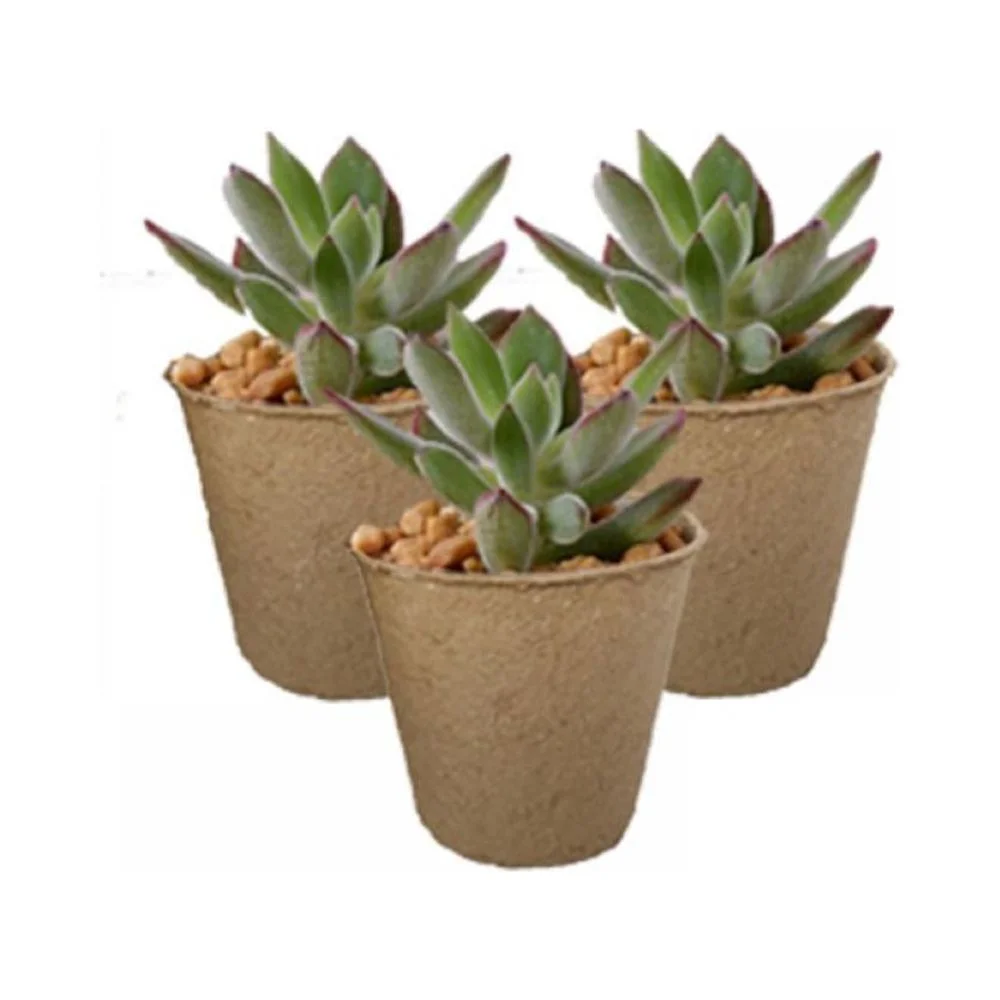 3'' Peat Pots,50 Pack Round Biodegradable Plant Starter Pots Seedling Trays