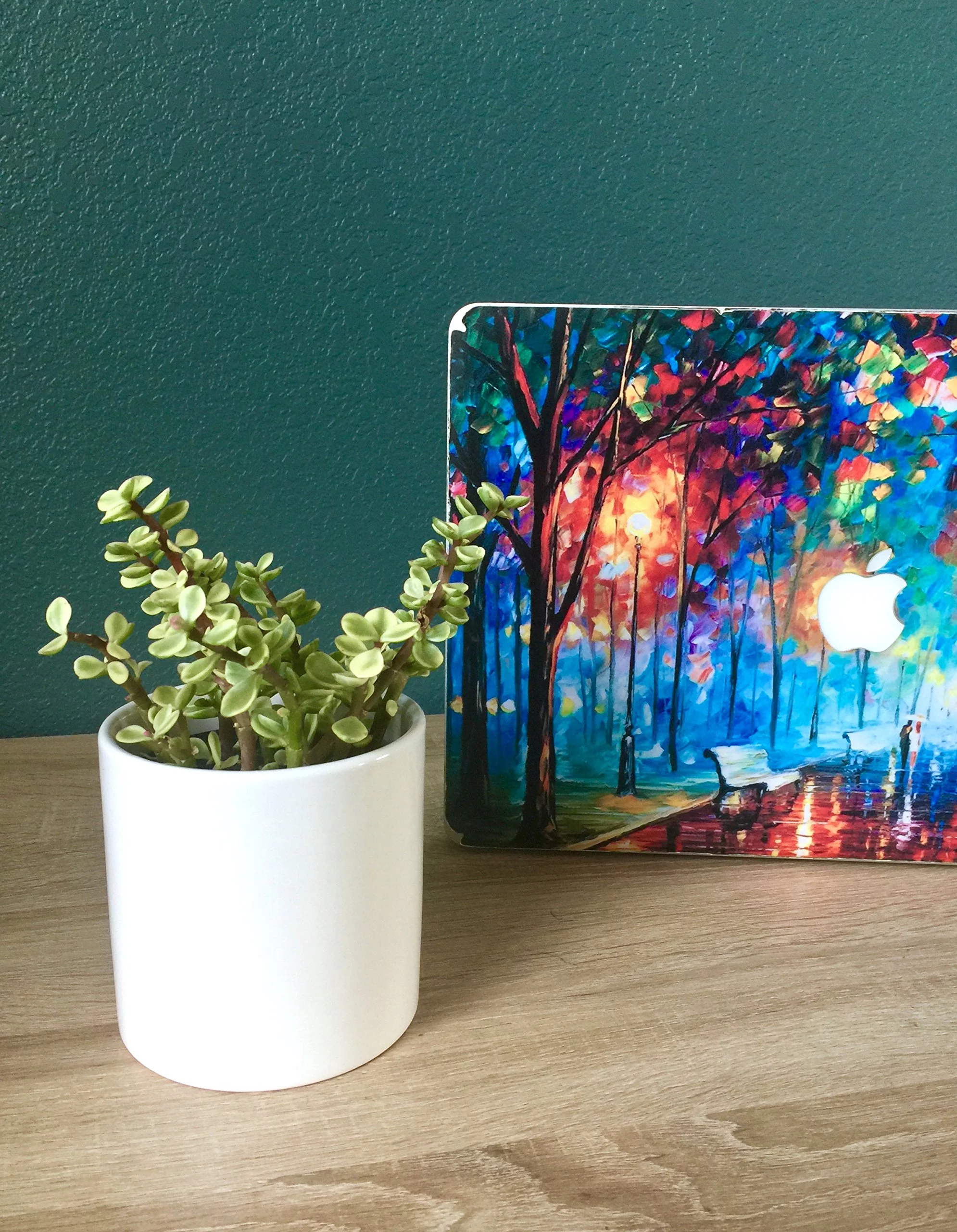 Ceramic White Planter Pot Ceramic Pot White Planter