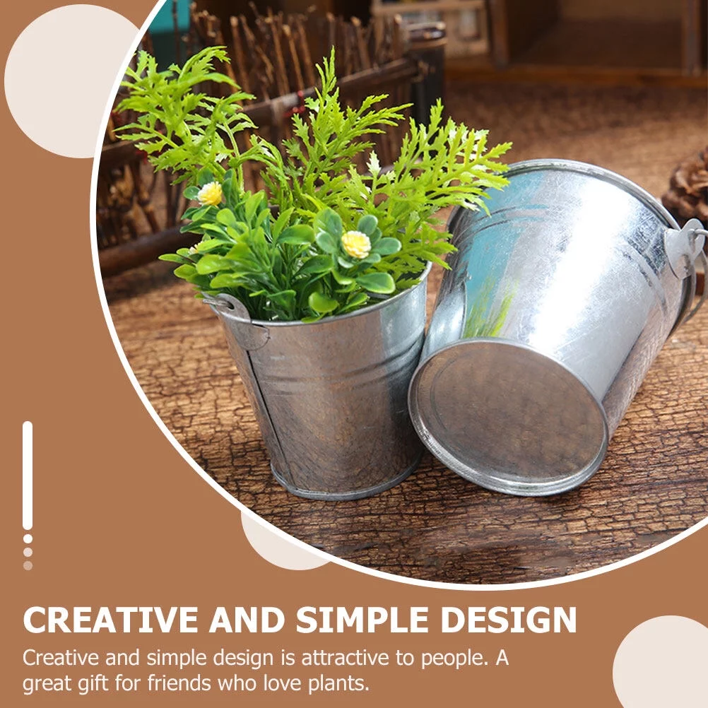 5 Pcs Small Indoor Plants House Accessories for Home Flower Pot Decorative Mini Bucket Tin Decorations Metal